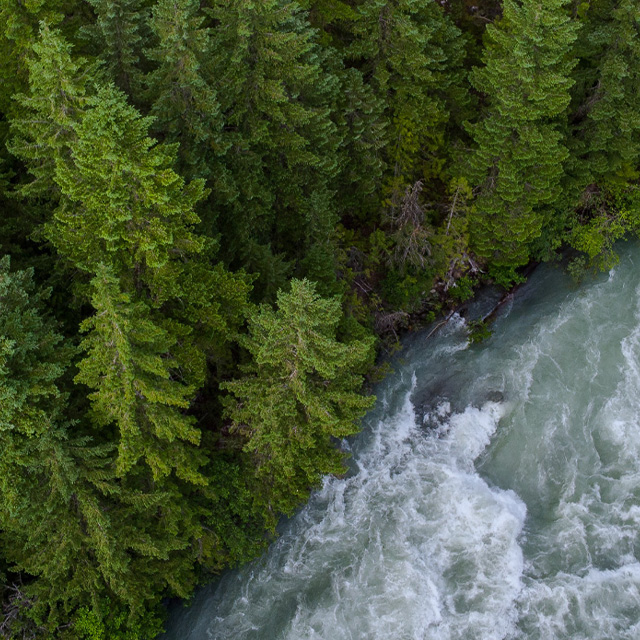 DOIG RIVER